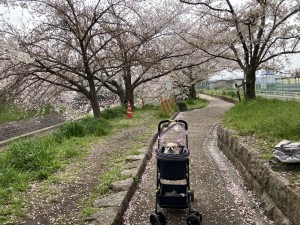 IMG_6784